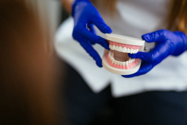 Professional Holistic Dental Care Services in Lake View, AL